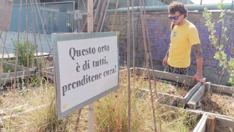 Ra-dici non firma il patto con il Comune. «Questa non è la Darsena che vorrei» Ra-dici non firma il patto con il Comune. «Questa non è la Darsena che vorrei»
