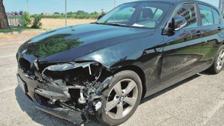 Turista investe e uccide un daino alle porte di Ravenna. Distrutta Bmw nuova Turista investe e uccide un daino alle porte di Ravenna. Distrutta Bmw nuova