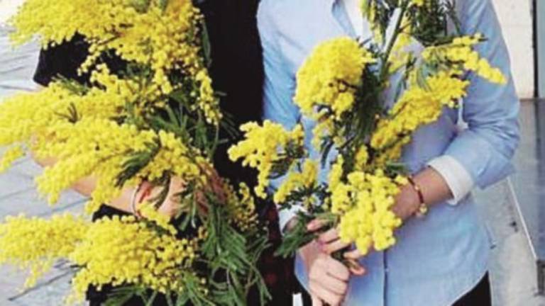 Giornata internazionale della donna, a Ravenna due settimane di eventi Giornata internazionale della donna, a Ravenna due settimane di eventi