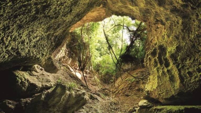 Sul sentiero di cristalli Sul sentiero di cristalli