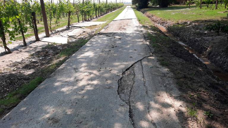 Lugo. La viabilità dopo l’alluvione, 32 interventi per 21 milioni di euro Lugo. La viabilità dopo l’alluvione, 32 interventi per 21 milioni di euro