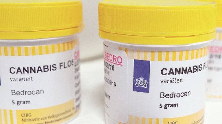San Marino, esperti al lavoro su una legge per l’utilizzo della cannabis San Marino, esperti al lavoro su una legge per l’utilizzo della cannabis