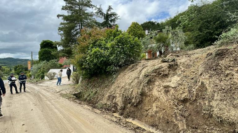 Maltempo a Cesena, terzo morto: 77enne travolto da una frana nel giardino di casa a Casale Maltempo a Cesena, terzo morto: 77enne travolto da una frana nel giardino di casa a Casale