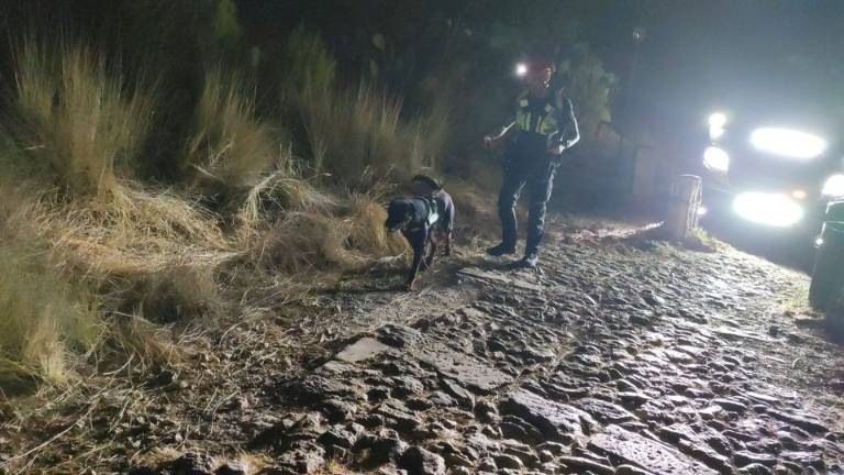 Cane addestrato a Castel San Pietro sventa un vasto incendio in Sicilia Cane addestrato a Castel San Pietro sventa un vasto incendio in Sicilia