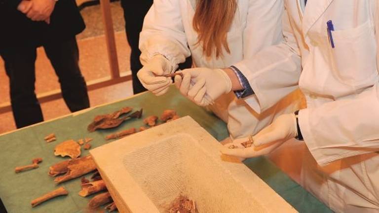 Cesena, sulle tracce di Malatesta Novello. Antiche suole da restaurare per aiutare la scienza Cesena, sulle tracce di Malatesta Novello. Antiche suole da restaurare per aiutare la scienza