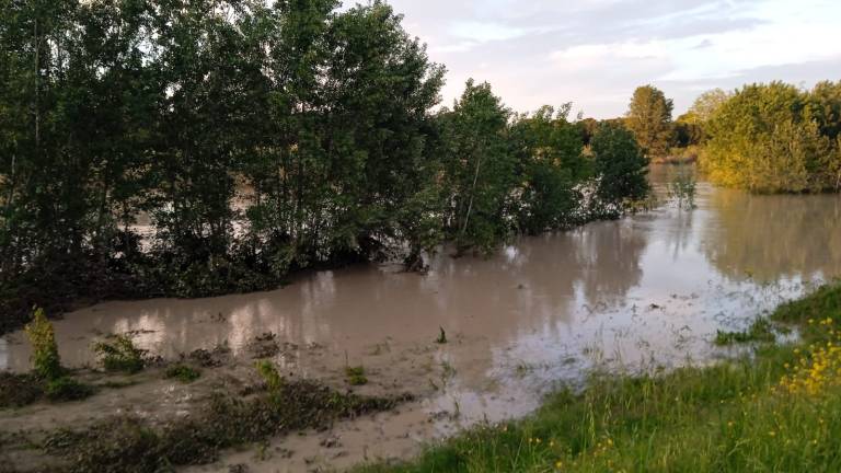 Forlì, nato il Comitato vittime del fango del quartiere Romiti Forlì, nato il Comitato vittime del fango del quartiere Romiti