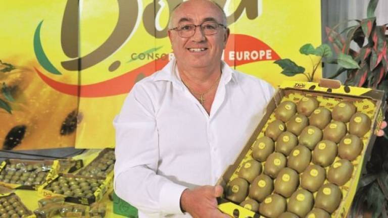 Dorì Europe porta il kiwi giallo da Castel Bolognese alla conquista della Cina Dorì Europe porta il kiwi giallo da Castel Bolognese alla conquista della Cina