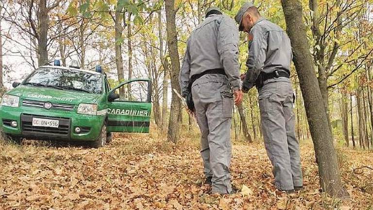Spari vicino case, multati 13 cacciatori. Nessun divieto sull’area del Marecchia Spari vicino case, multati 13 cacciatori. Nessun divieto sull’area del Marecchia