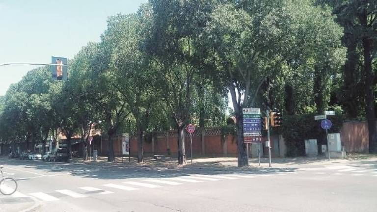 Stanziati fondi regionali per la ciclabile in viale D’Agostino Stanziati fondi regionali per la ciclabile in viale D’Agostino