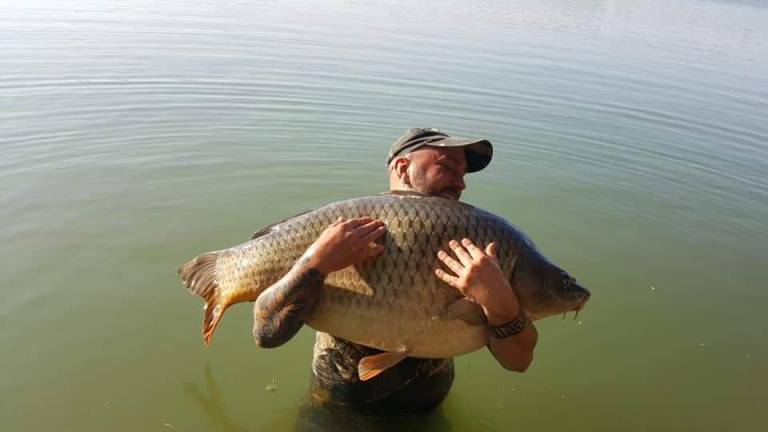 Ravenna, cattura record al lago Le Ghiarine Ravenna, cattura record al lago Le Ghiarine