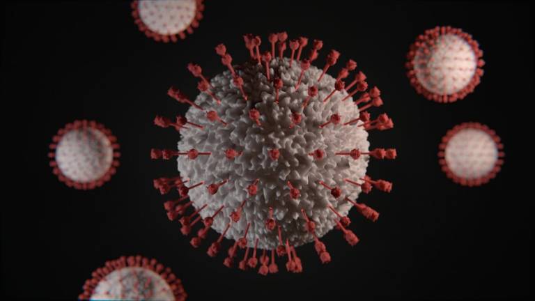 Coronavirus, a Forlì resta in discesa la curva dei contagi Coronavirus, a Forlì resta in discesa la curva dei contagi