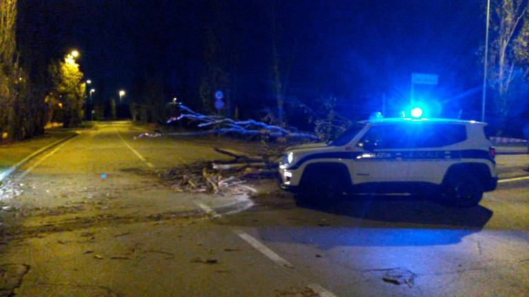 Anziano collegato a un respiratore meccanico resta senza corrente a causa delle raffiche di vento. Interviene la polizia locale di Rimini Anziano collegato a un respiratore meccanico resta senza corrente a causa delle raffiche di vento. Interviene la polizia locale di Rimini