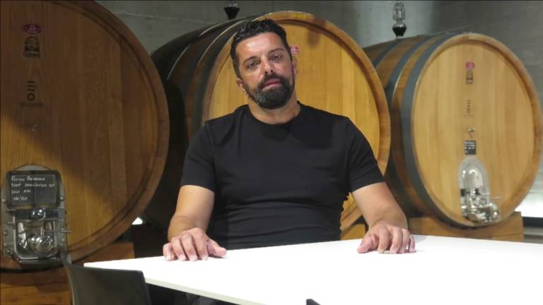 Vini e cibo, l’azienda Enio Ottaviani alla conquista degli Stati Uniti: Apriamo ad Atlanta Vini e cibo, l’azienda Enio Ottaviani alla conquista degli Stati Uniti: Apriamo ad Atlanta