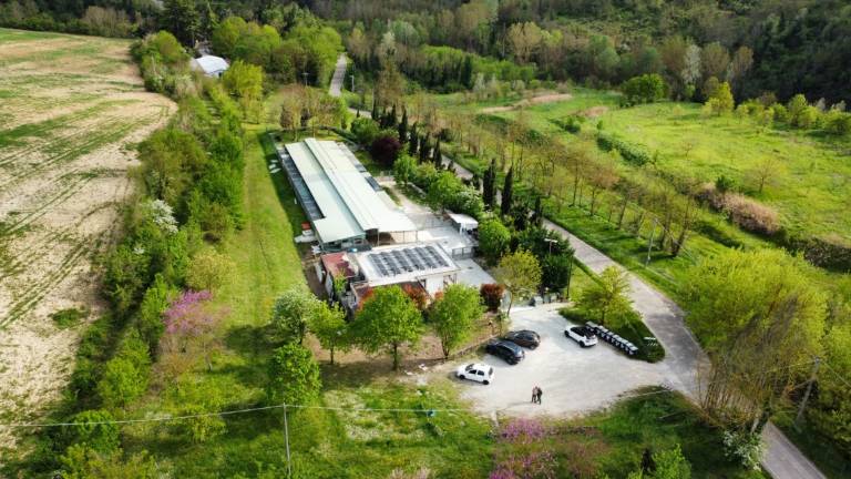 Cesena, canile di Rio Eremo: entro maggio via ai lavori Cesena, canile di Rio Eremo: entro maggio via ai lavori