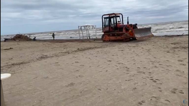 Milano Marittima. Forte temporale, alberi caduti su veicoli VIDEO Milano Marittima. Forte temporale, alberi caduti su veicoli VIDEO