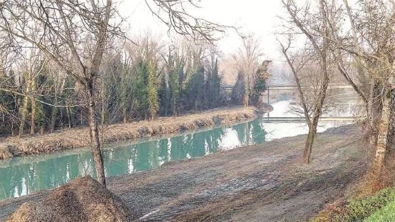 Imola, allarme di Geolab per il Santerno: Lavori al limite della deforestazione Imola, allarme di Geolab per il Santerno: Lavori al limite della deforestazione