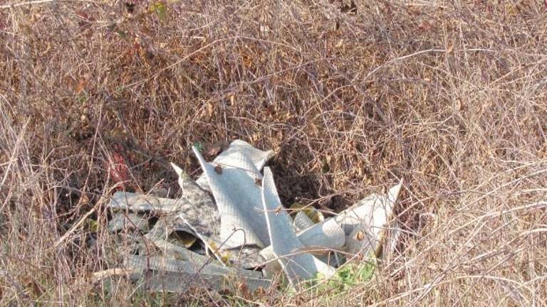 Altri rifiuti abbandonati a Roncalceci, il Comitato cittadino chiede una sbarra Altri rifiuti abbandonati a Roncalceci, il Comitato cittadino chiede una sbarra
