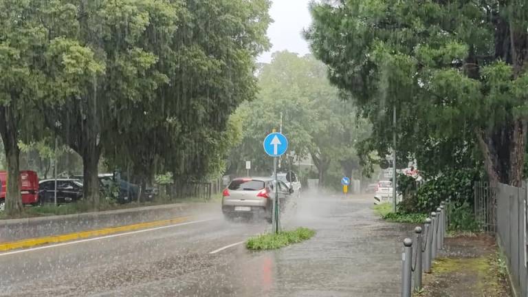 Maltempo, per la piena del Lamone a Faenza chiuso un tratto della circonvallazione Maltempo, per la piena del Lamone a Faenza chiuso un tratto della circonvallazione