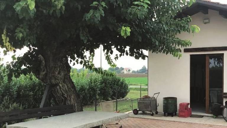 Bambino impallinato nel cortile di casa a Cesena, caccia era stata riaperta lì sotto la spinta di firme Bambino impallinato nel cortile di casa a Cesena, caccia era stata riaperta lì sotto la spinta di firme
