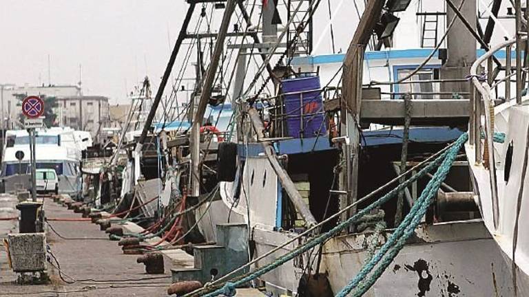Fermo pesca per 45 giorni in Romagna. Coldiretti: «Attenzione a quello che si mangia» Fermo pesca per 45 giorni in Romagna. Coldiretti: «Attenzione a quello che si mangia»