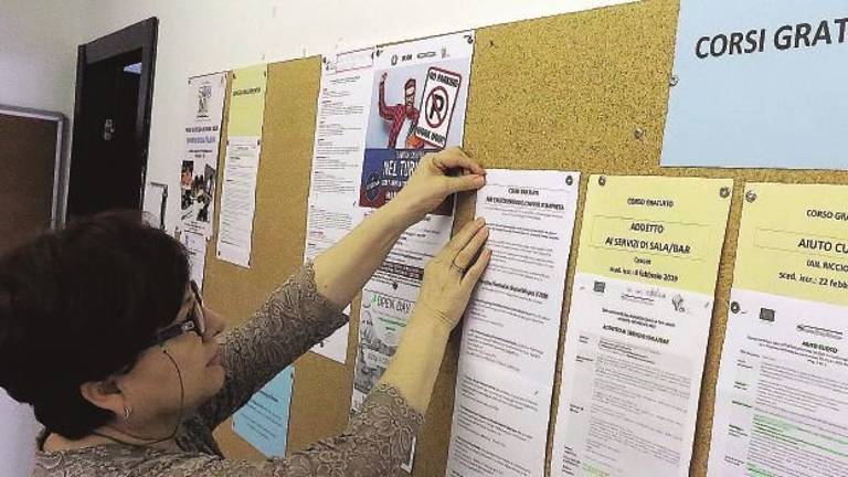Reddito di cittadinanza, accolte 3mila domande nel Ravennate Reddito di cittadinanza, accolte 3mila domande nel Ravennate