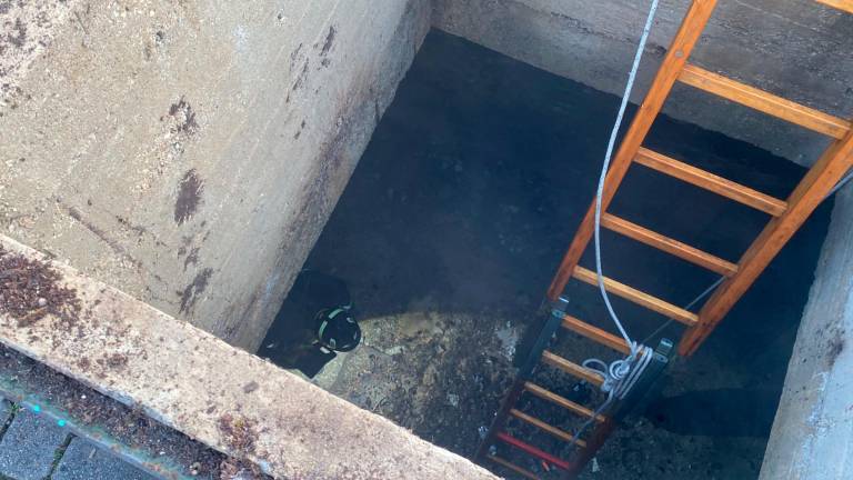 Cesena: violato nella notte il bunker dell’Ex Arrigoni - VIDEO Cesena: violato nella notte il bunker dell’Ex Arrigoni - VIDEO