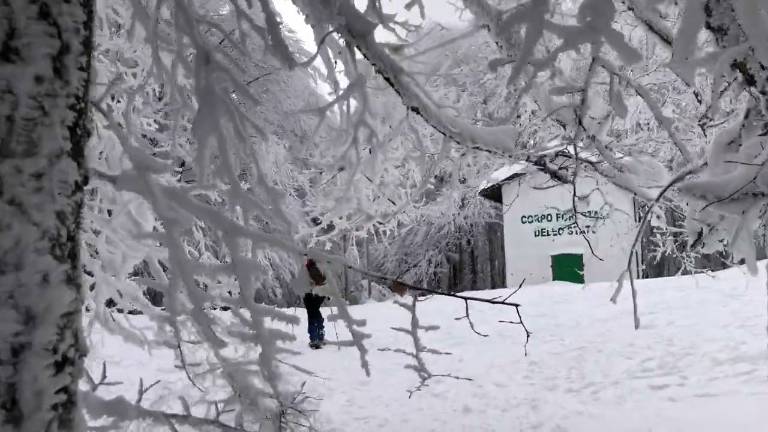 Neve in Romagna: allerta gialla per valanghe fino a venerdì sull'Appennino VIDEO Neve in Romagna: allerta gialla per valanghe fino a venerdì sull'Appennino VIDEO