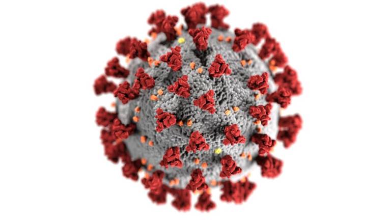Cesena, un morto con il Coronavirus e 112 guariti Cesena, un morto con il Coronavirus e 112 guariti
