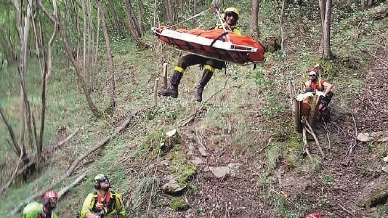 Forli', ciclista cade in un burrone e compie volo di trenta metri Forli', ciclista cade in un burrone e compie volo di trenta metri