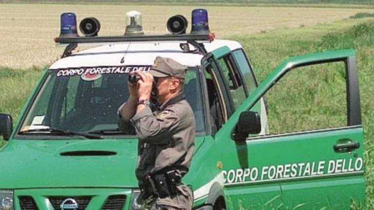 Pullman incastrato sulle rotaie a Rimini, Forestali evitano un disastro Pullman incastrato sulle rotaie a Rimini, Forestali evitano un disastro