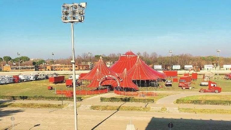 Verbali e diffide non fermano il Circo di Vienna ma si sommano le multe Verbali e diffide non fermano il Circo di Vienna ma si sommano le multe
