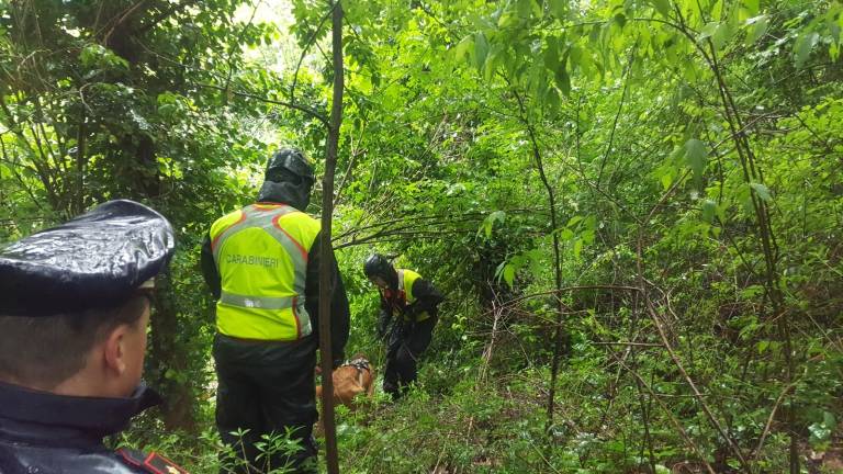 Trovato il corpo della donna scomparsa a Novafeltria Trovato il corpo della donna scomparsa a Novafeltria