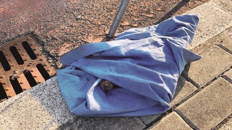 A Cesena trovato ordigno bellico inesploso abbandonato sulla ciclabile A Cesena trovato ordigno bellico inesploso abbandonato sulla ciclabile