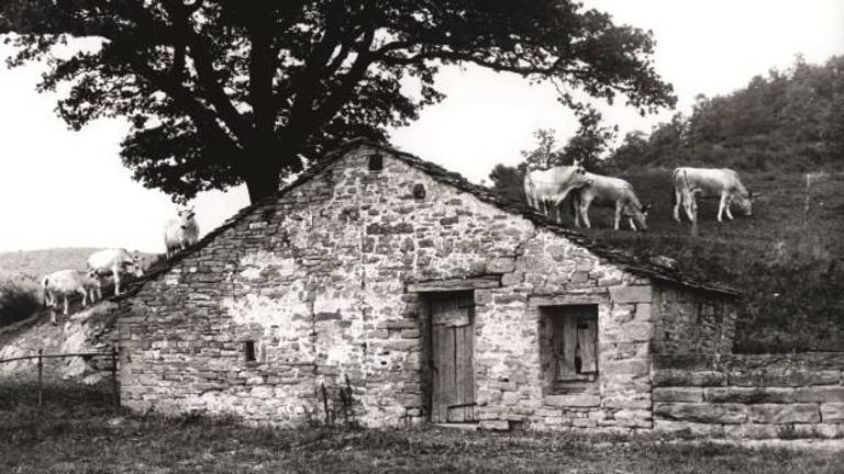 La Romagna e il suo paesaggio come patrimonio culturale in foto La Romagna e il suo paesaggio come patrimonio culturale in foto