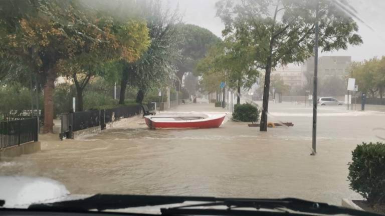 Maltempo a Cesenatico, scoperchiato il tetto del dipartimento di Veterinaria VIDEO GALLERY Maltempo a Cesenatico, scoperchiato il tetto del dipartimento di Veterinaria VIDEO GALLERY