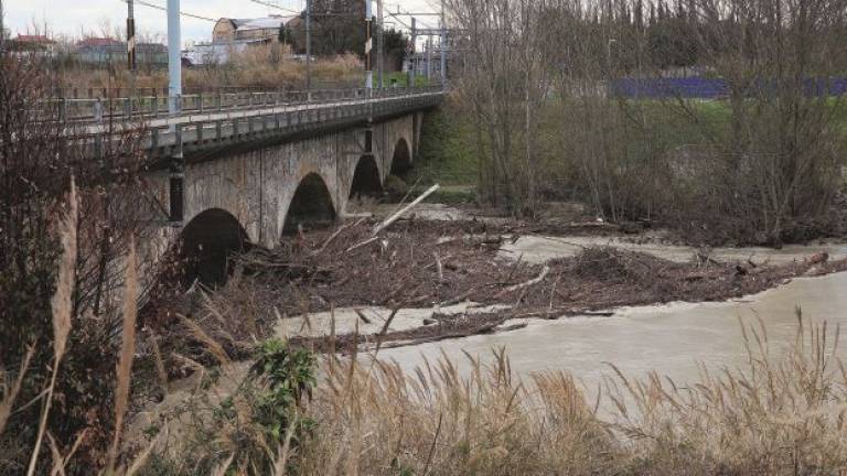 Ammasso di legna sotto il ponte: paura per il pericolo allagamenti Ammasso di legna sotto il ponte: paura per il pericolo allagamenti