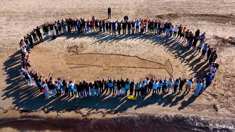 Rimini, una balena disegnata sulla spiaggia a ricordo dello spiaggiamento del 1943 - Gallery Rimini, una balena disegnata sulla spiaggia a ricordo dello spiaggiamento del 1943 - Gallery