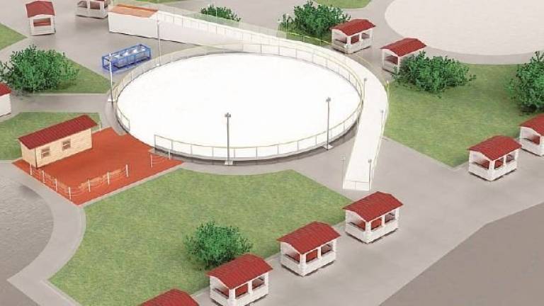 Pista del ghiaccio con scivolo per feste a tutto divertimento a Cesenatico Pista del ghiaccio con scivolo per feste a tutto divertimento a Cesenatico