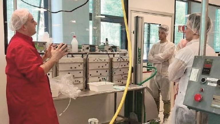 Un Patto per il lavoro: 260 milioni per i giovani Un Patto per il lavoro: 260 milioni per i giovani