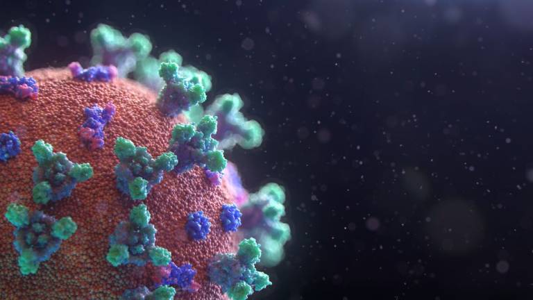 Coronavirus, un altro morto a Faenza Coronavirus, un altro morto a Faenza