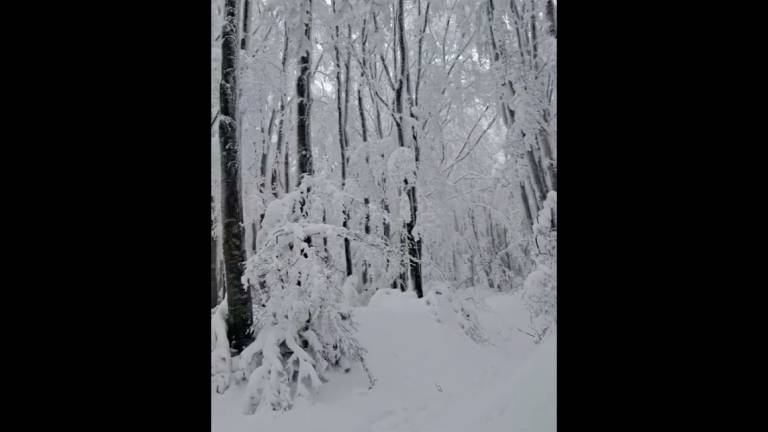 Meteo Romagna, un week-end al freddo e con altra neve sull'Appennino VIDEO Meteo Romagna, un week-end al freddo e con altra neve sull'Appennino VIDEO