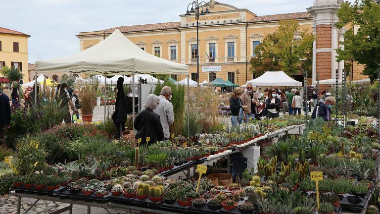 Santarcangelo, il programma della Fiera di San Michele Santarcangelo, il programma della Fiera di San Michele