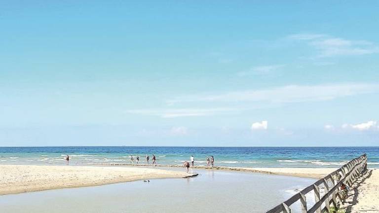 Riccione. Balneazione, la Regione promuove il Marano Riccione. Balneazione, la Regione promuove il Marano