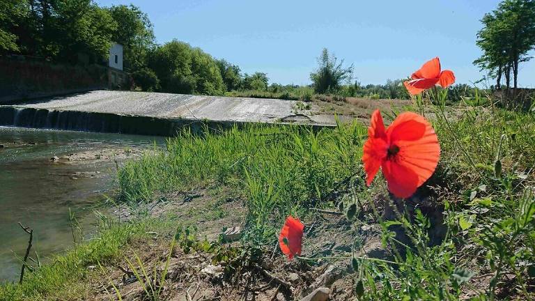 Forlì, lavori per la sicurezza della briglia di San Lorenzo in Noceto Forlì, lavori per la sicurezza della briglia di San Lorenzo in Noceto
