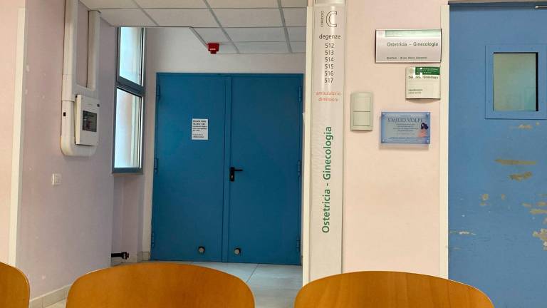 Cesena, partorisce in casa e getta il bimbo a fianco dei cassonetti dei rifiuti Cesena, partorisce in casa e getta il bimbo a fianco dei cassonetti dei rifiuti