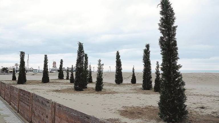 Cupola in spiaggia con alberi, bar e lettini. «È il futuro, il benessere in riva la mare» Cupola in spiaggia con alberi, bar e lettini. «È il futuro, il benessere in riva la mare»