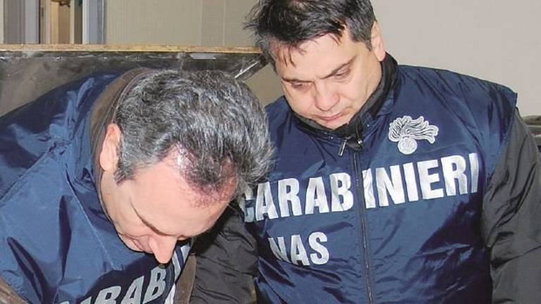 Blitz dei Nas d'estate in Romagna, chiuso un albergo a Rimini e una birreria a Ravenna Blitz dei Nas d'estate in Romagna, chiuso un albergo a Rimini e una birreria a Ravenna