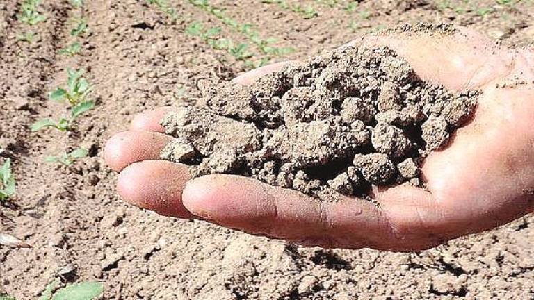 Calo delle piogge e clima torrido entro il 2050 boom delle temperature Calo delle piogge e clima torrido entro il 2050 boom delle temperature