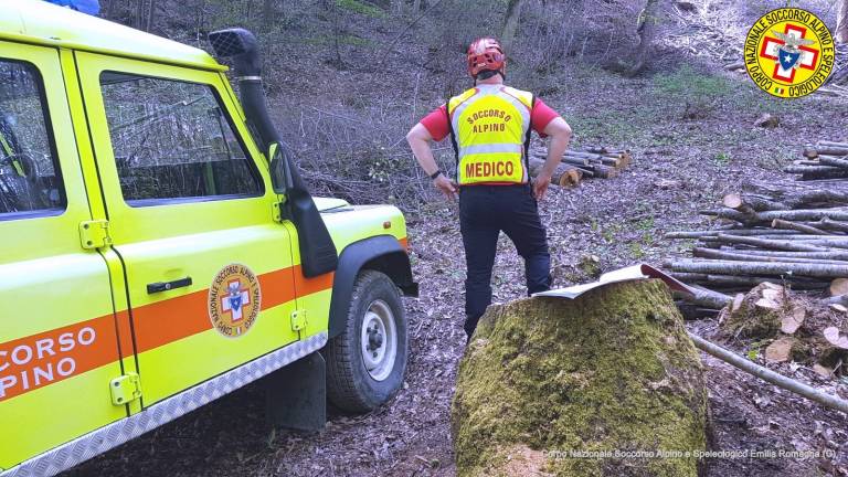 Galeata, aggredito da uno sciame di vespe Galeata, aggredito da uno sciame di vespe