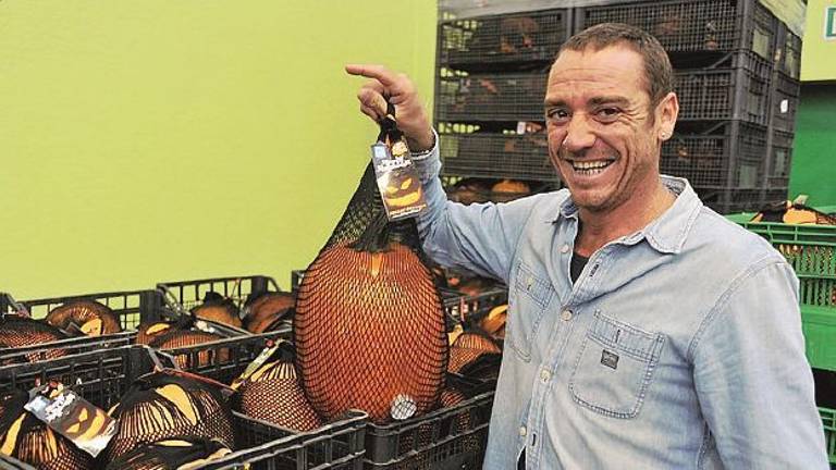 Zucche di Halloween prêt-à-porter. Le mettiamo in borsa con una candela Zucche di Halloween prêt-à-porter. Le mettiamo in borsa con una candela